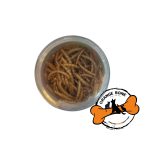 کرم خشک -میل ورم- تاپ فید(10گرم) - Image 2