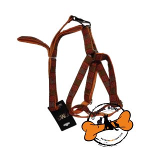 قلاده کمری سگ