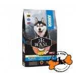 خوراک سگ جوان نژاد متوسط و بزرگ رویال فید (3 کیلو)