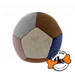 توپ آپارتمانی سگ