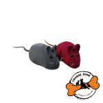 موش مینیاتوری