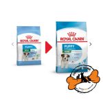 غذا خشک سگ مینی پاپی رویال کنین (2کیلو) - Image 2