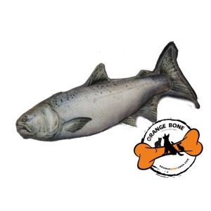 عروسک کت نیپ دار گربه مدل ماهی