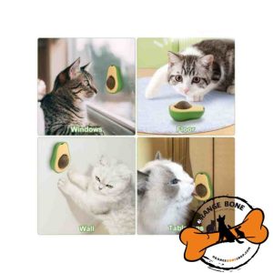 آبنبات دیواری گربه کت نیپ دار مدل آووکادو