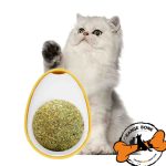 آبنبات دیواری گربه کت نیپ دار مدل تخم مرغ