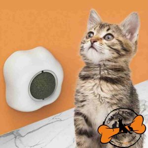 آبنبات دیواری گربه کت نیپ دار مدل نیمرو