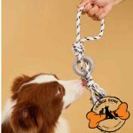 اسباب بازی دندانی سگ مدل طناب و حلقه