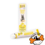 خمیر بیوتین گربه جیم کت طعم پنیر  مناسب برای کاهش ریزش مو و تقویت پوست