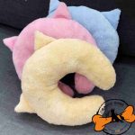 جای خواب گربه