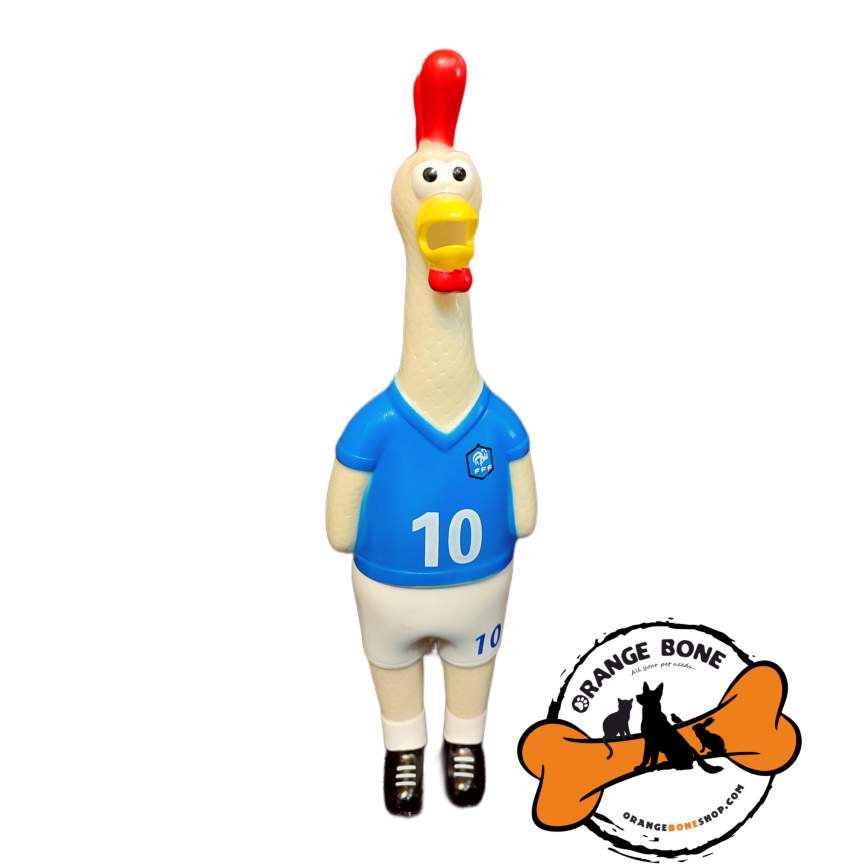 مرغ نالان خارجی مرغ نالان ورزشی