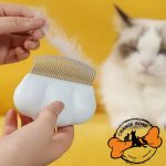 برس جیبی گربه