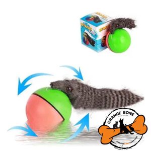 اسباب بازی حرکتی گربه