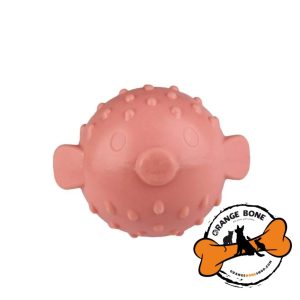 دندانی صدا دار سگ