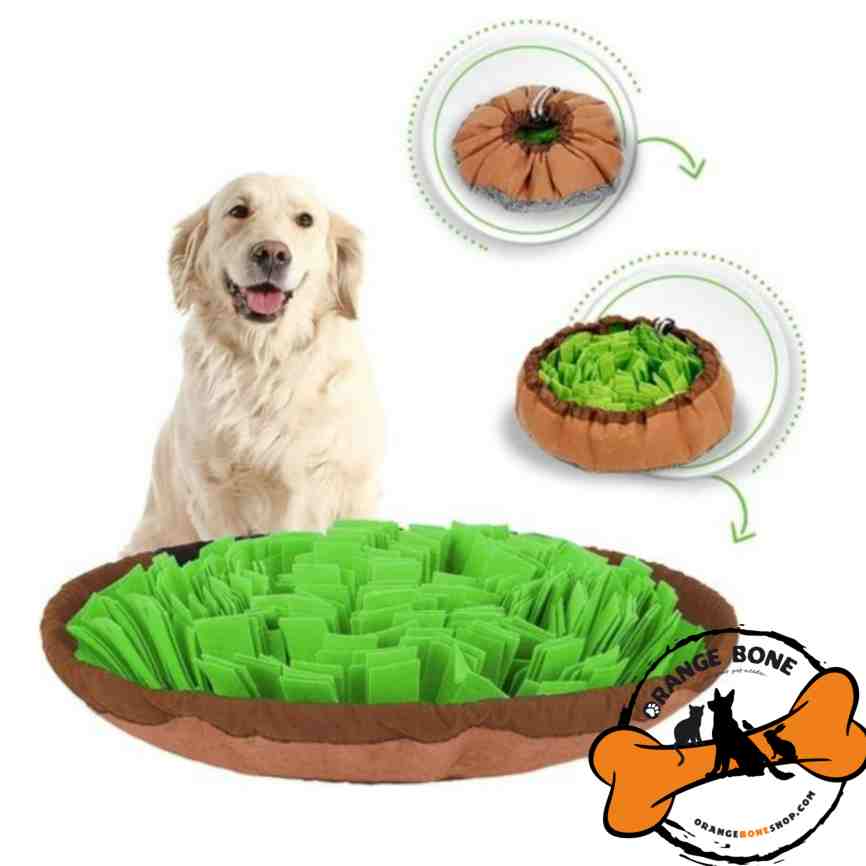 چمن آرام خور سگ اسباب بازی هوشی سگ و گربه چمن تشویقی خور