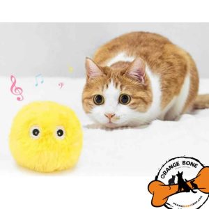 اسباب بازی مورد پسند گربه ها