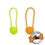 توپ بازی سگ