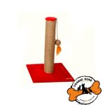 ناخن کشیدن گربه