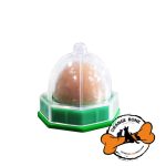 آبنبات بستنی دیواری گربه