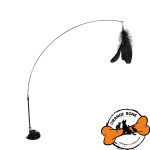 جلوگیری از افسردگی گربه