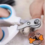 ناخن گیر قیچی