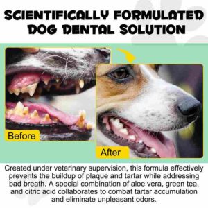 جرم گیری دندان های سگ بدون بیهوشی