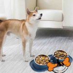 ظرف غذا برای سگ آکیتا