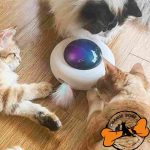 بازی جذاب سفینه