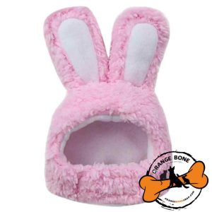 کلاه مخصوص گربه