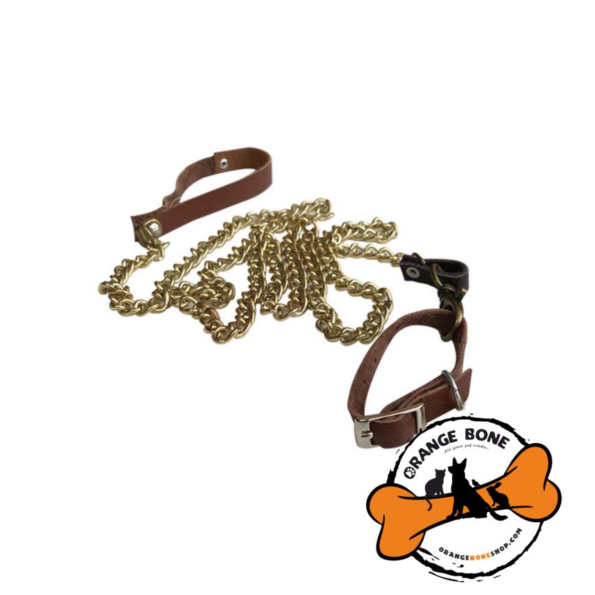 قلاده سنجاب لوازم سنجاب