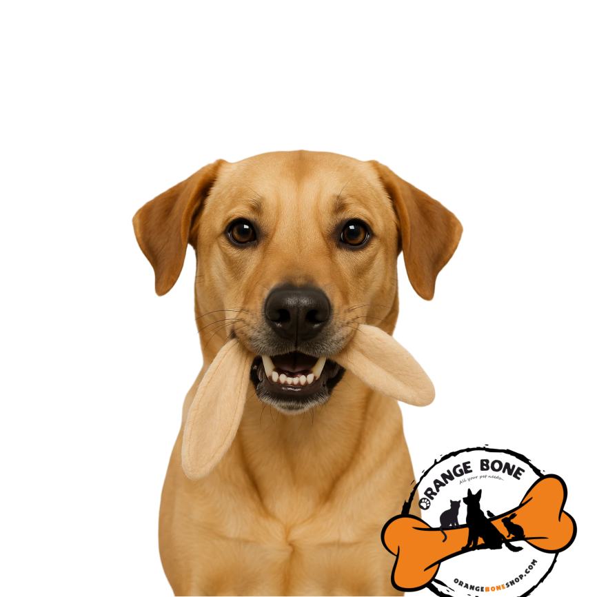 تشویقی طبیعی جویدنی مخصوص سگ تشویقی دنتال سگ مدل گوش خرگوش