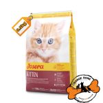 غذا خشک کیتن جوسرا مخصوص بچه گربه دو تا دوازده ماه