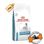 Royal Canin Hypoallergenic