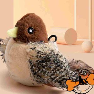 پرنده جیک جیکو مخصوص گربه