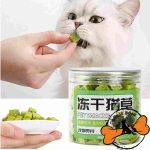 تشویقی گربه فریز دراید