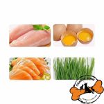 تشویقی مناسب گوارش گربه