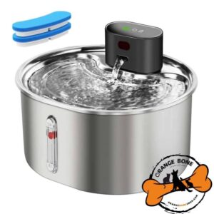ظرف آب فیلتر دار استیل شارژی گربه