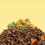 خوراکی مورد علاقه گربه ها